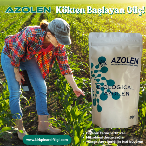 “azolen kökten başlayan güç!” (1)